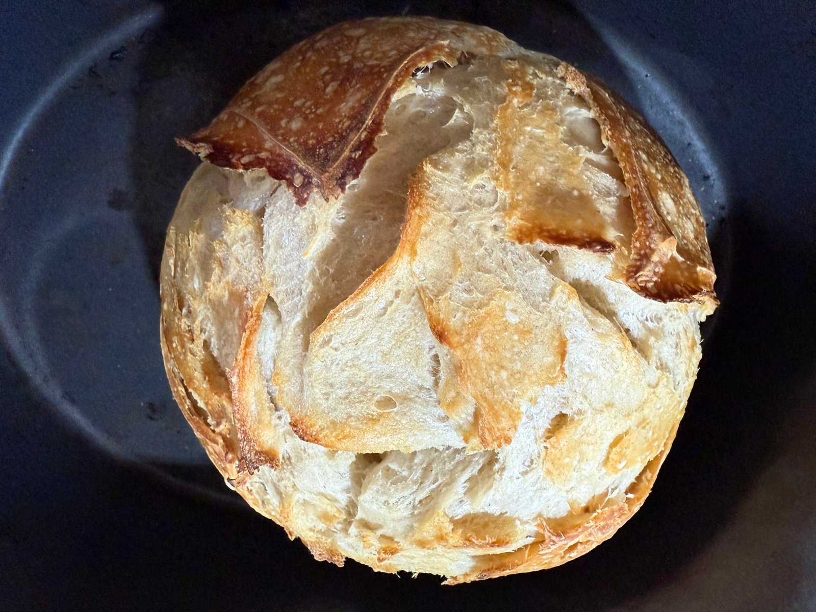 COUNTRY WHITE SOURDOUGH