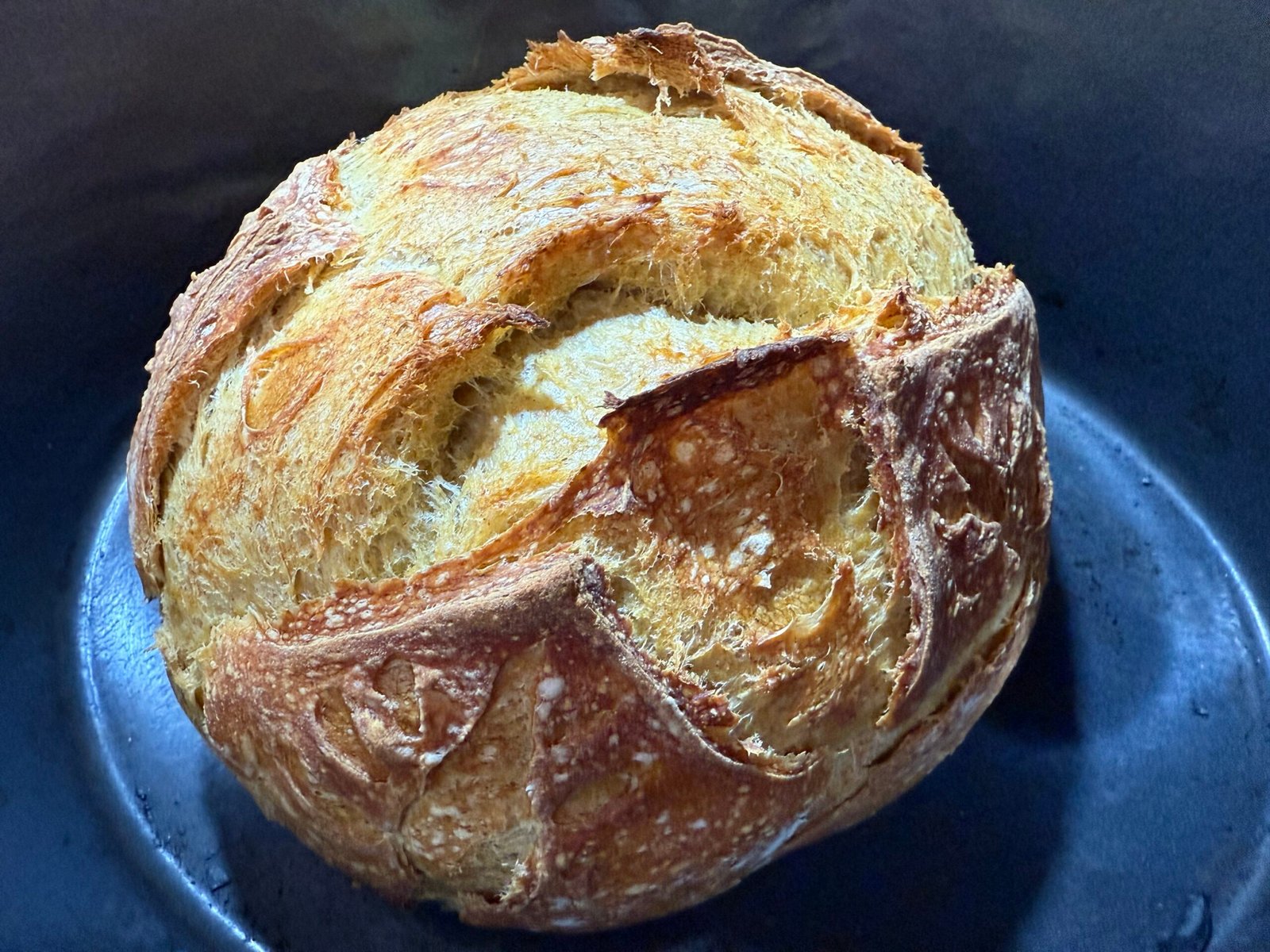 Large PUMPKIN SPICE SOURDOUGH (V)