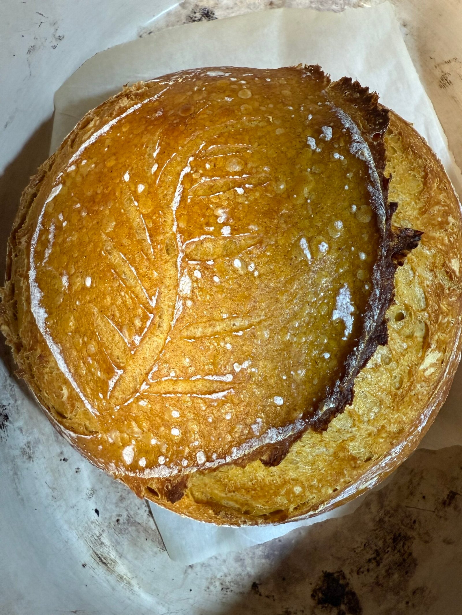 Small PUMPKIN SPICE SOURDOUGH (V) - Image 2