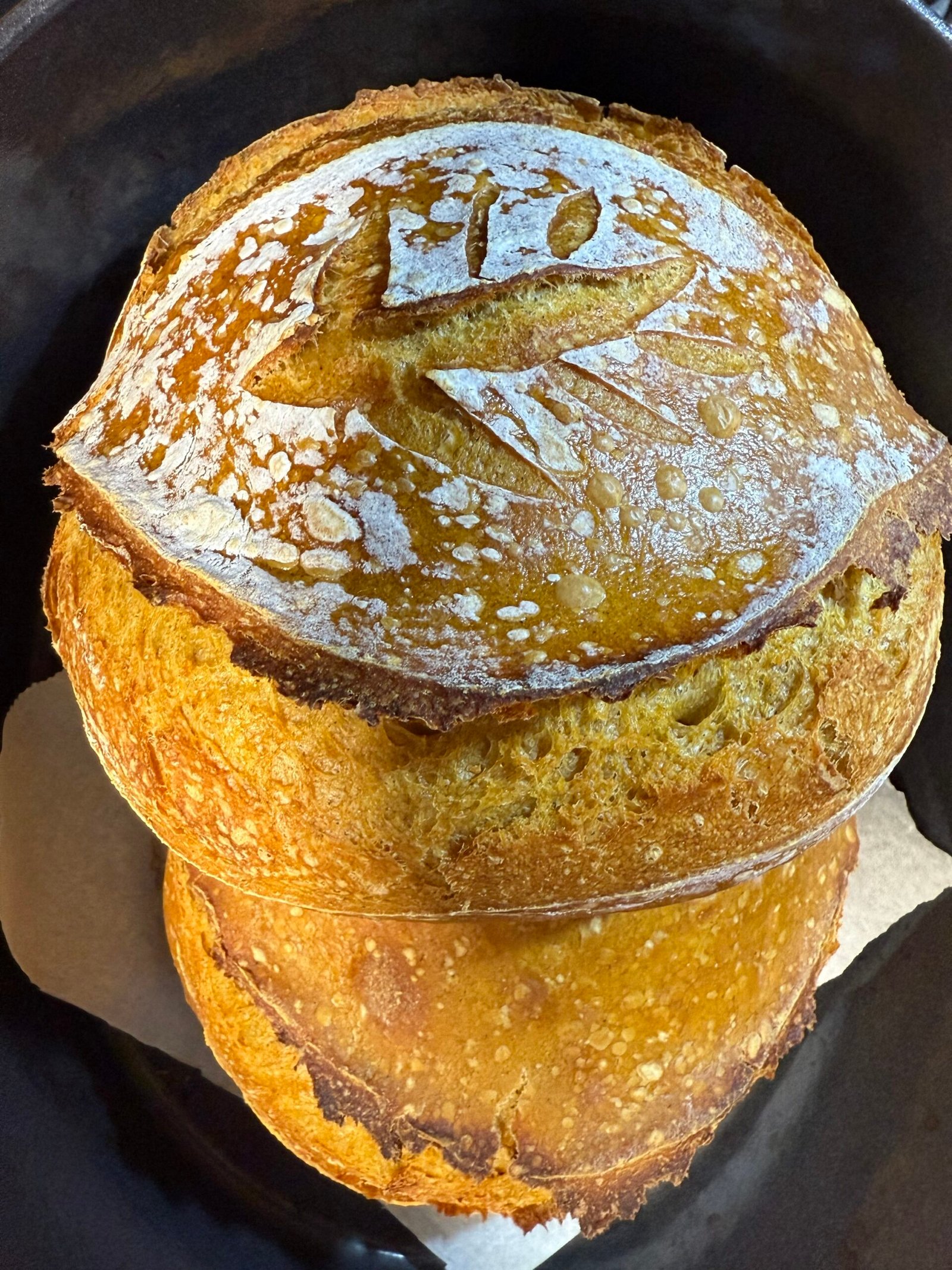 Small PUMPKIN SPICE SOURDOUGH (V)