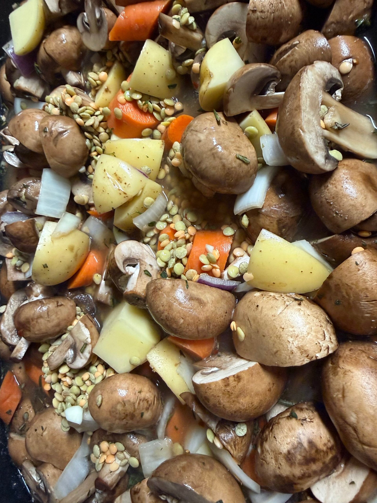 HEARTY WINTER STEW (V)(GF)