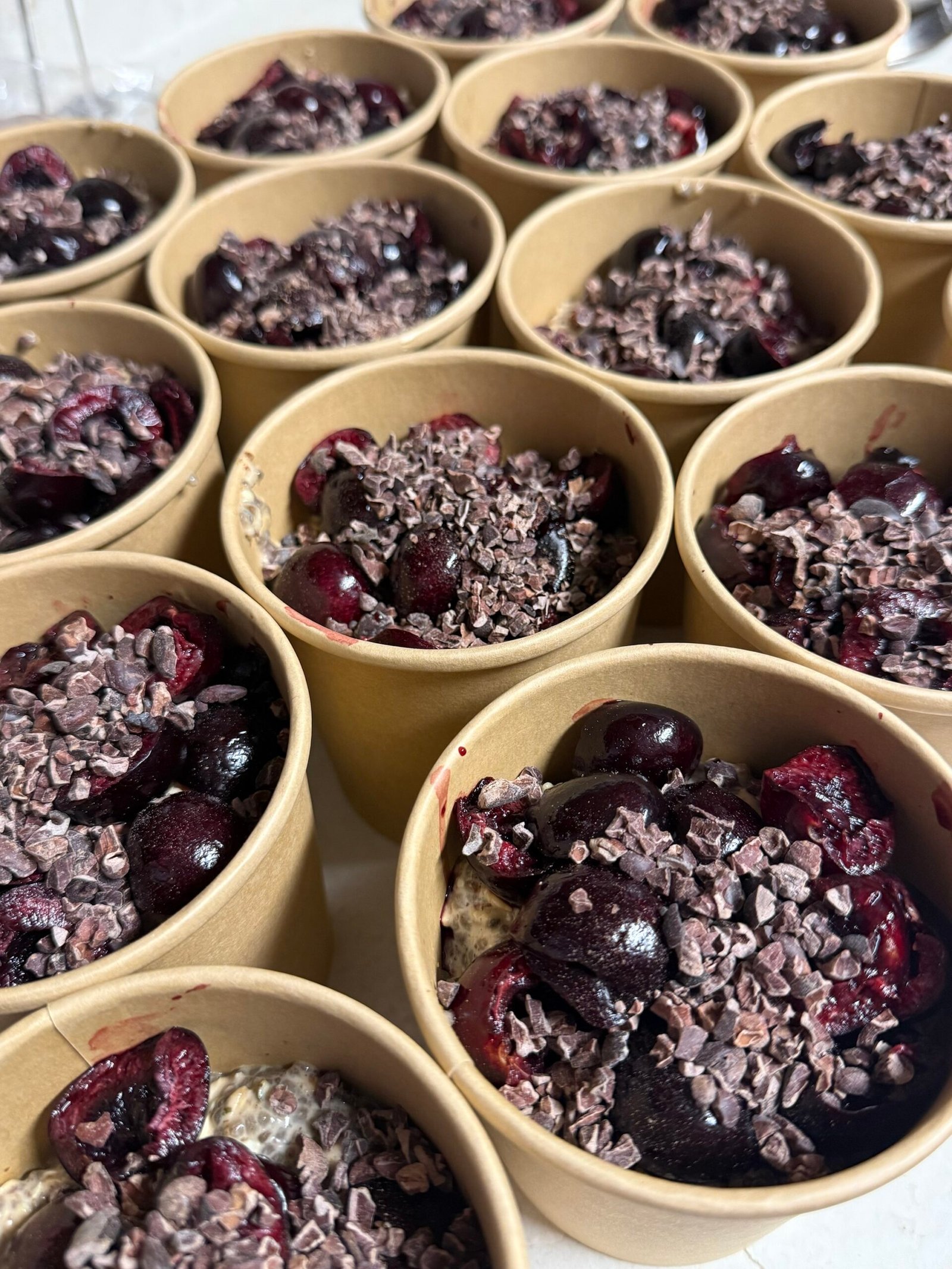 DARK CHOCOLATE CHERRY OATS (V)(GF)